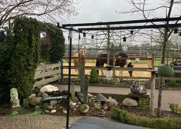 Carpe Diem Nijverdal
